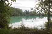D'autres Ajaux...